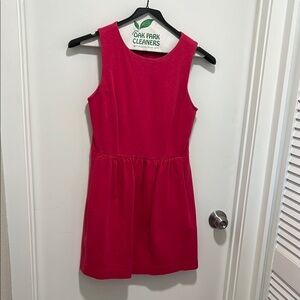 Stylish Pink J Crew Dress